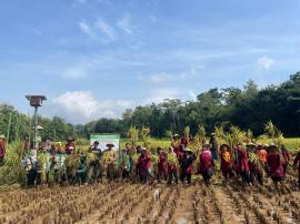 PANEN RAYA PARI MAPAN 05: KWT KANTHIL TUNJUKKAN KEBERHASILAN HASIL PERTANIAN